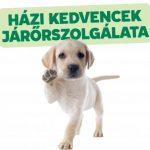 házi kedvenc járőrszolgálát